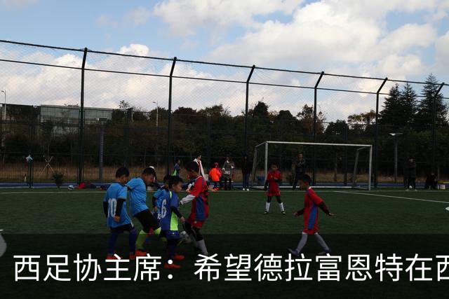 西足协主席：希望德拉富恩特在西班牙长期执教，当我们的弗格森